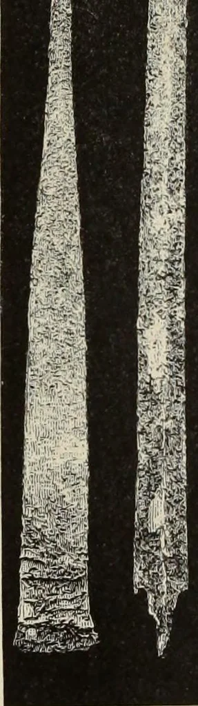 An illustration from Mycen©Œ : a narrative of researches and discoveries at Mycen©Œ and Tiryns, 1878, leaf 395