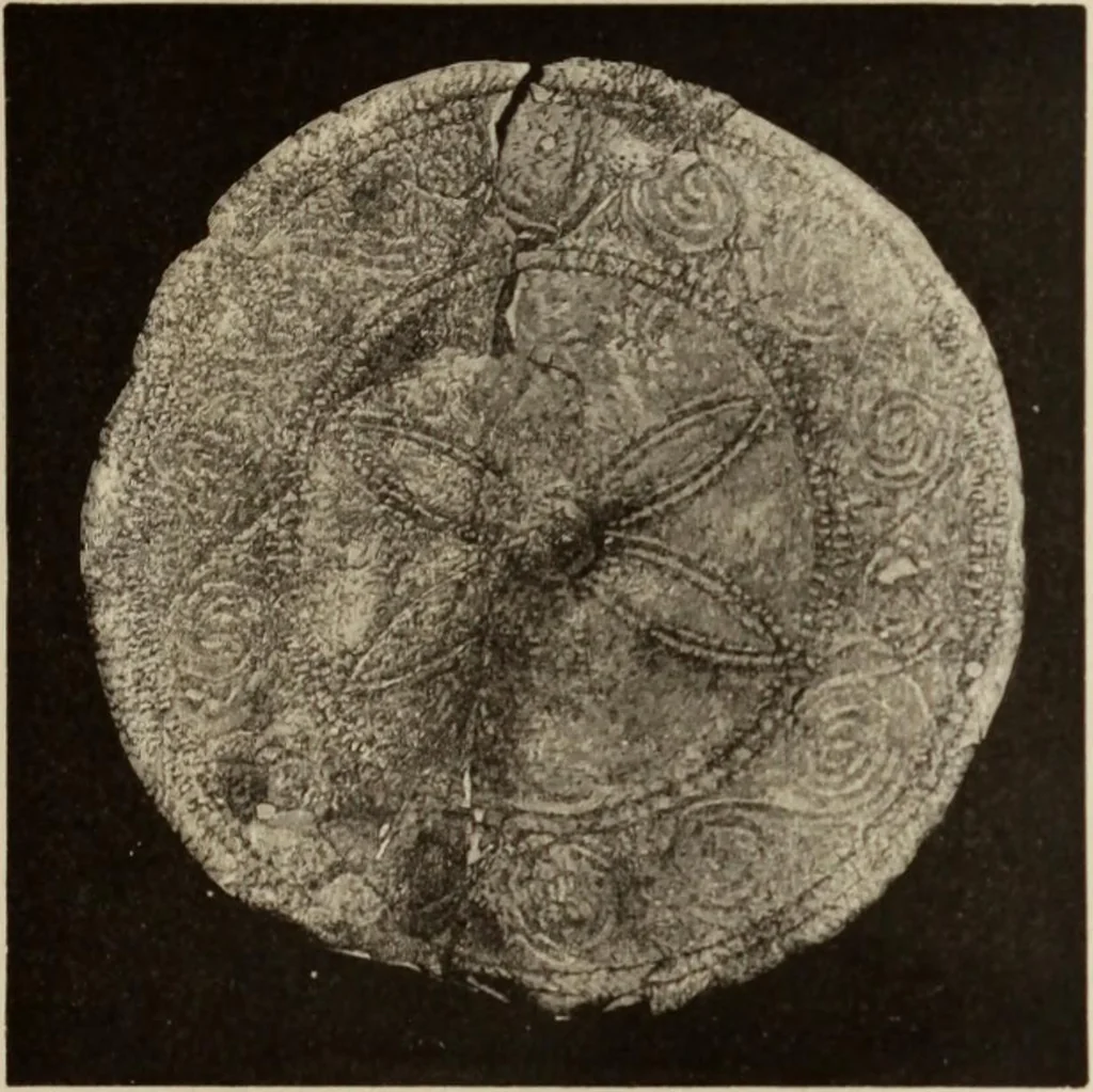 An illustration from Mycen©Œ : a narrative of researches and discoveries at Mycen©Œ and Tiryns, 1878, leaf 408