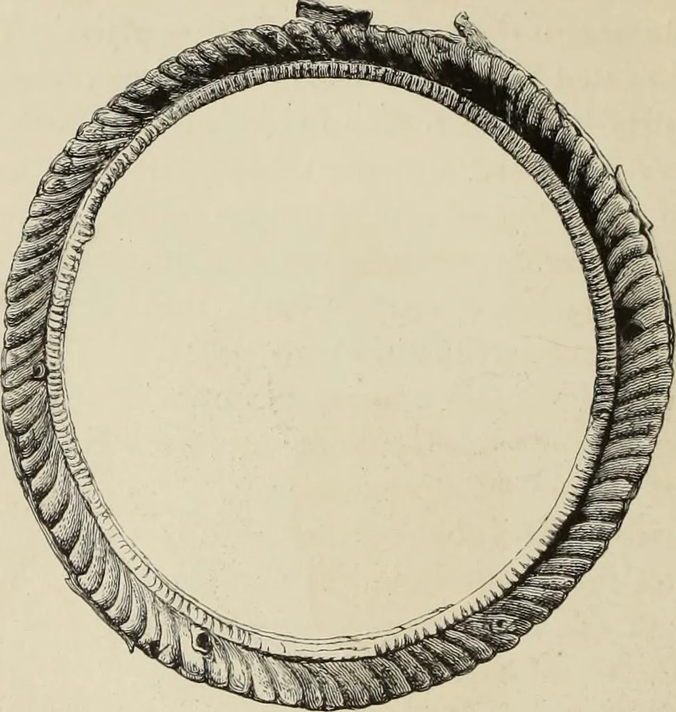 An illustration from Mycen©Œ : a narrative of researches and discoveries at Mycen©Œ and Tiryns, 1878, leaf 409