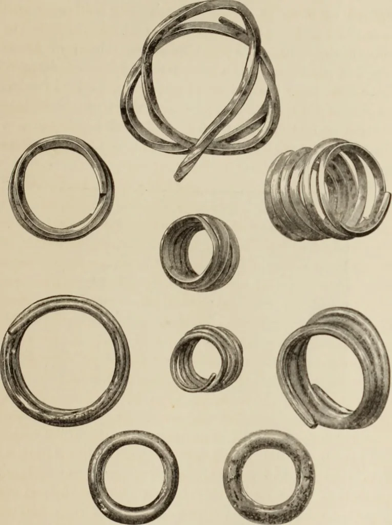 An illustration from Mycen©Œ : a narrative of researches and discoveries at Mycen©Œ and Tiryns, 1878, leaf 442
