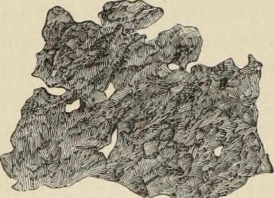 An illustration from Mycen©Œ : a narrative of researches and discoveries at Mycen©Œ and Tiryns, 1878, leaf 457
