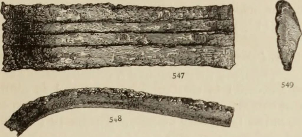 An illustration from Mycen©Œ : a narrative of researches and discoveries at Mycen©Œ and Tiryns, 1878, leaf 464