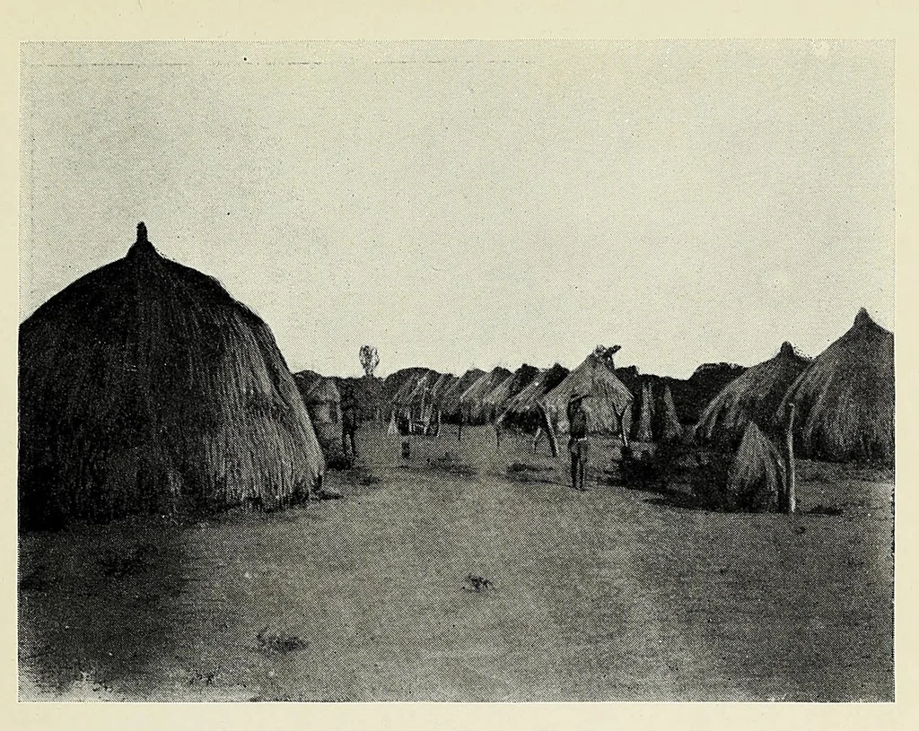 An illustration from My journey from Rhodesia to Egypt : including an ascent of Ruwenzori and a short account of the route from Cape Town to Broken Hill and Lado to Alexandria, 1911, leaf 163