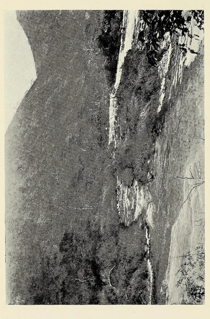 An illustration from My journey from Rhodesia to Egypt : including an ascent of Ruwenzori and a short account of the route from Cape Town to Broken Hill and Lado to Alexandria, 1911, leaf 226
