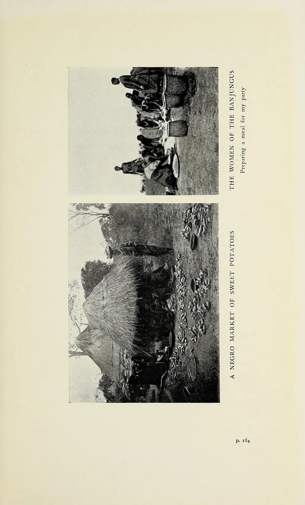 An illustration from My journey from Rhodesia to Egypt : including an ascent of Ruwenzori and a short account of the route from Cape Town to Broken Hill and Lado to Alexandria, 1911, leaf 261