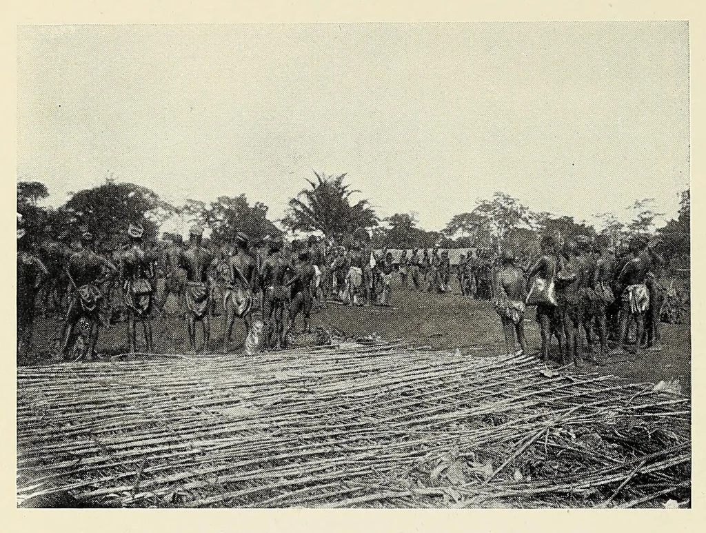 An illustration from My journey from Rhodesia to Egypt : including an ascent of Ruwenzori and a short account of the route from Cape Town to Broken Hill and Lado to Alexandria, 1911, leaf 280
