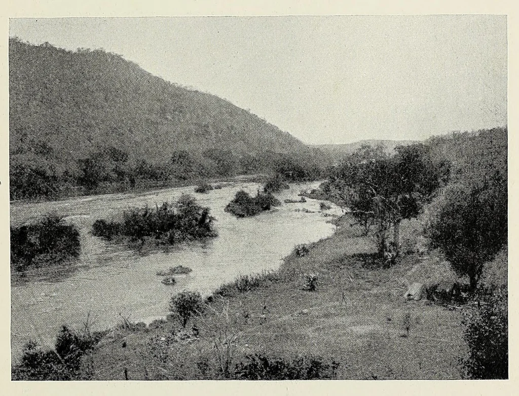 An illustration from My journey from Rhodesia to Egypt : including an ascent of Ruwenzori and a short account of the route from Cape Town to Broken Hill and Lado to Alexandria, 1911, leaf 355