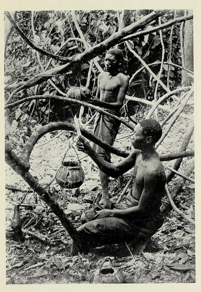 An illustration from My journey from Rhodesia to Egypt : including an ascent of Ruwenzori and a short account of the route from Cape Town to Broken Hill and Lado to Alexandria, 1911, leaf 375
