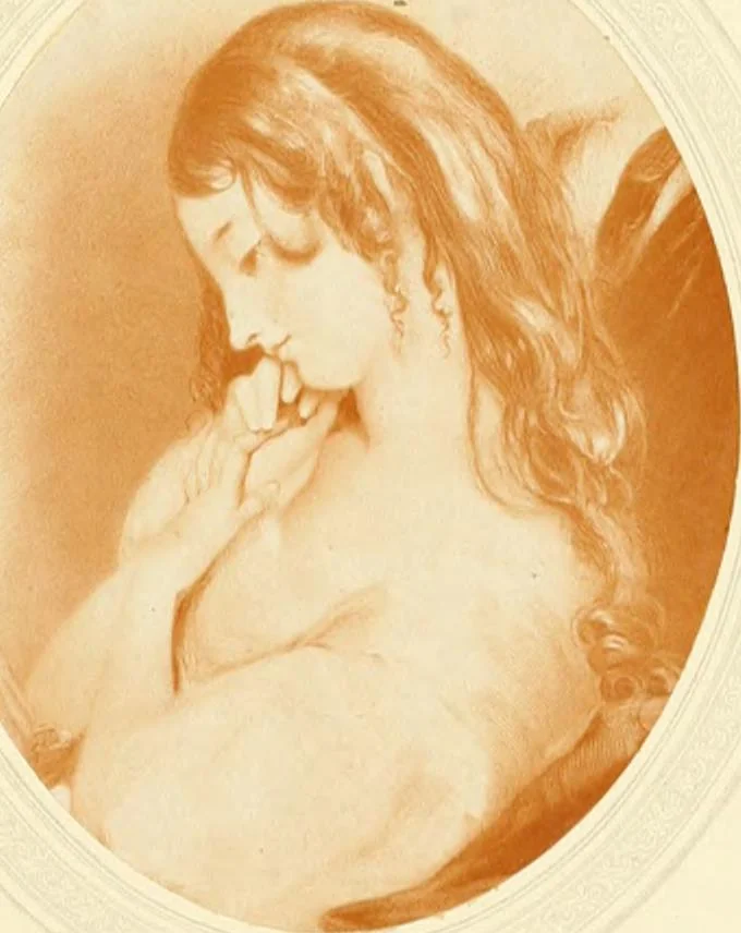 An illustration from My lady's cabinet, decorated with drawings and miniatures, 1873, leaf 44