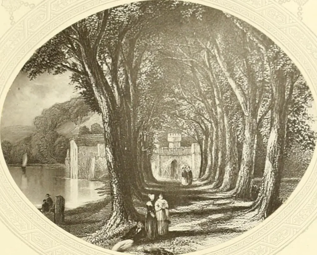 An illustration from My lady's cabinet, decorated with drawings and miniatures, 1873, leaf 48