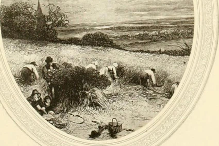 An illustration from My lady's cabinet, decorated with drawings and miniatures, 1873, leaf 56