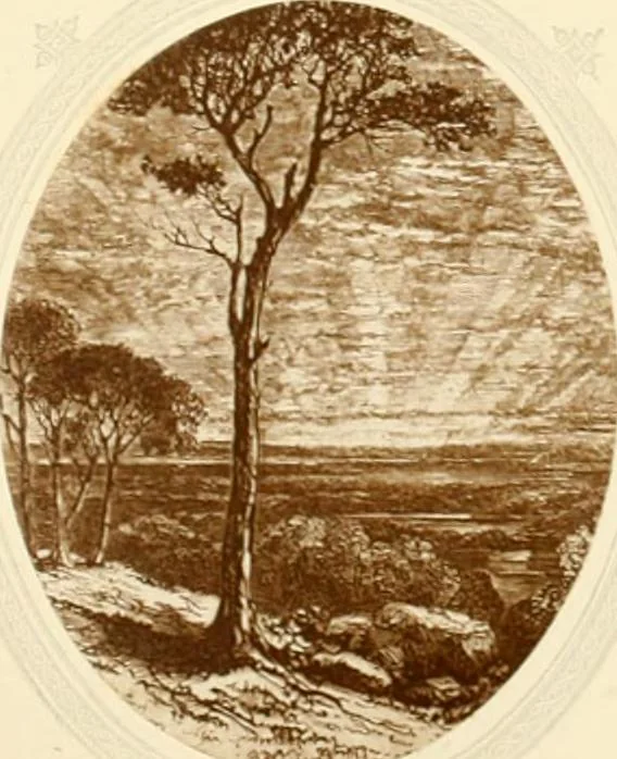 An illustration from My lady's cabinet, decorated with drawings and miniatures, 1873, leaf 68