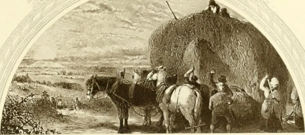 An illustration from My lady's cabinet, decorated with drawings and miniatures, 1873, leaf 84