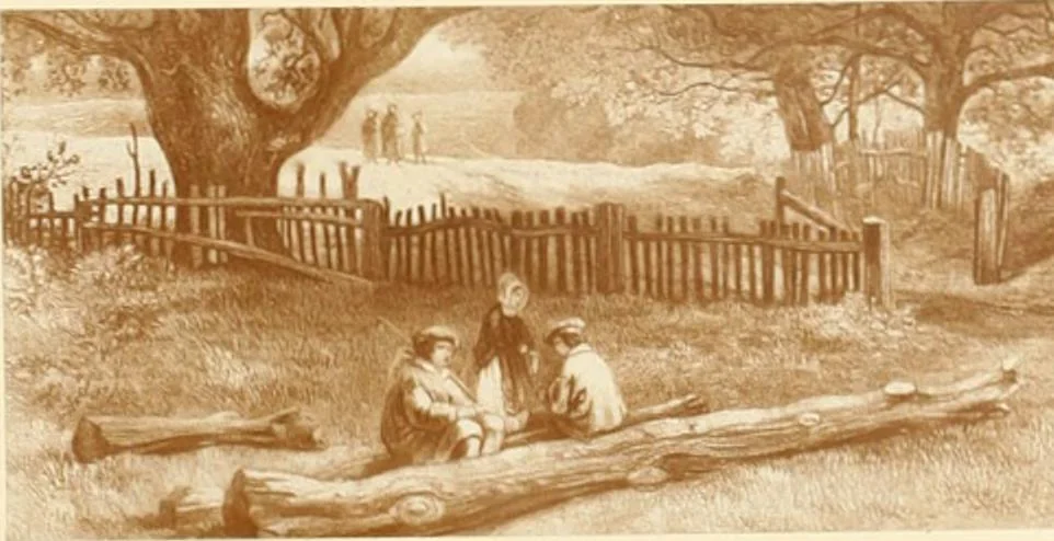 An illustration from My lady's cabinet, decorated with drawings and miniatures, 1873, leaf 84
