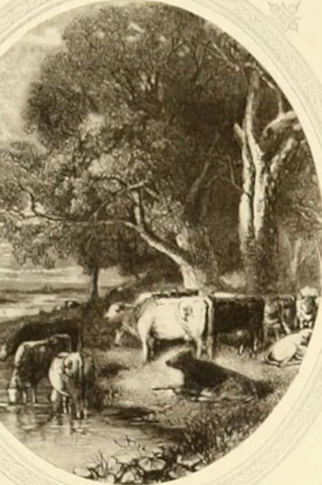 An illustration from My lady's cabinet, decorated with drawings and miniatures, 1873, leaf 96