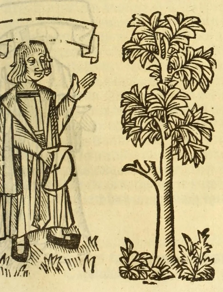 An illustration from The myrrour & dyscrypcyon of the worlde : with many meruaylles & the vii scyences as gramayre, rethorike wyth the arte of memorye, logyke, geometrye, wyth the standarde of mesure & weyght, and the knowlege how a man sholde mesure londe, borde, & tymber, and than arsmetryke wyth the maner of accou[n]tes and rekenynges by cyfres, and than musyke, and astrnomye, with many other profytable and plesant co[m]modytes, 1527, leaf 119