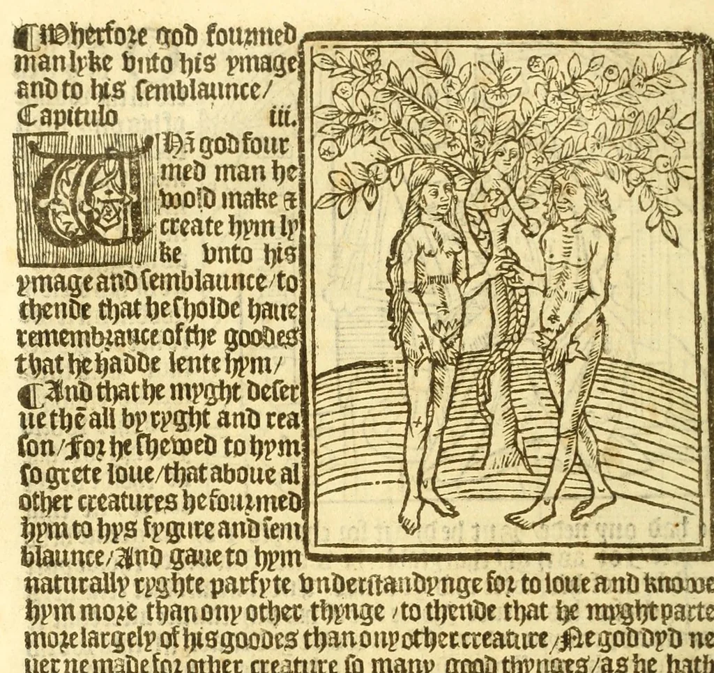An illustration from The myrrour & dyscrypcyon of the worlde : with many meruaylles & the vii scyences as gramayre, rethorike wyth the arte of memorye, logyke, geometrye, wyth the standarde of mesure & weyght, and the knowlege how a man sholde mesure londe, borde, & tymber, and than arsmetryke wyth the maner of accou[n]tes and rekenynges by cyfres, and than musyke, and astrnomye, with many other profytable and plesant co[m]modytes, 1527, leaf 18