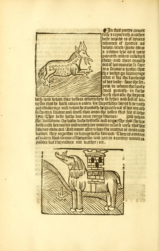 An illustration from The myrrour & dyscrypcyon of the worlde : with many meruaylles & the vii scyences as gramayre, rethorike wyth the arte of memorye, logyke, geometrye, wyth the standarde of mesure & weyght, and the knowlege how a man sholde mesure londe, borde, & tymber, and than arsmetryke wyth the maner of accou[n]tes and rekenynges by cyfres, and than musyke, and astrnomye, with many other profytable and plesant co[m]modytes, 1527, leaf 90