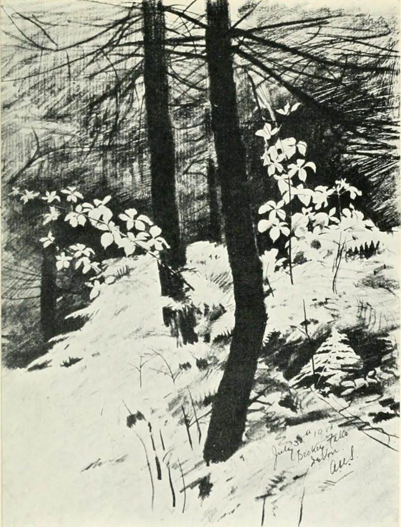 An illustration from My school and my gospel, 1908, leaf 128