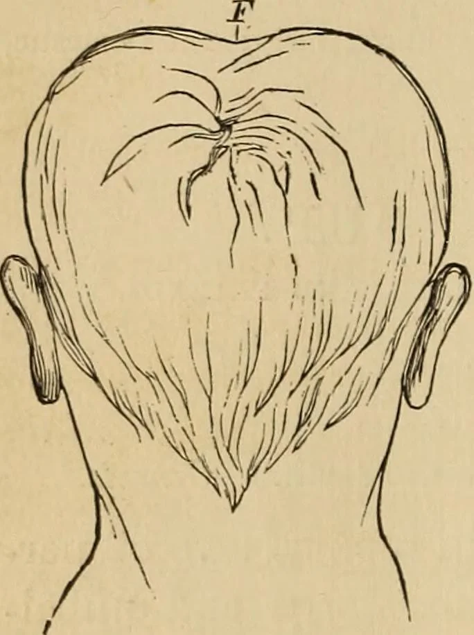 An illustration from The mysteries of the head and the heart explained : including an improved system of phrenology, a new theory of the emotions, and an explanation of the mysteries of mesmerism, trance, mind-reading, and the spirit delusion, 1875, leaf 103