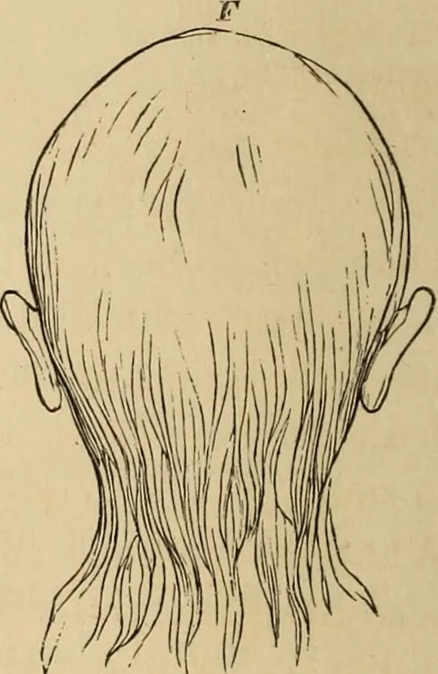An illustration from The mysteries of the head and the heart explained : including an improved system of phrenology, a new theory of the emotions, and an explanation of the mysteries of mesmerism, trance, mind-reading, and the spirit delusion, 1875, leaf 103