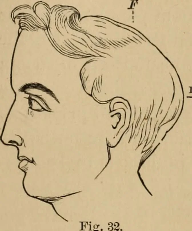 An illustration from The mysteries of the head and the heart explained : including an improved system of phrenology, a new theory of the emotions, and an explanation of the mysteries of mesmerism, trance, mind-reading, and the spirit delusion, 1875, leaf 108