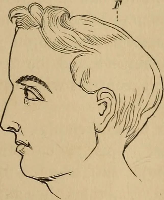 An illustration from The mysteries of the head and the heart explained : including an improved system of phrenology, a new theory of the emotions, and an explanation of the mysteries of mesmerism, trance, mind-reading, and the spirit delusion, 1875, leaf 120