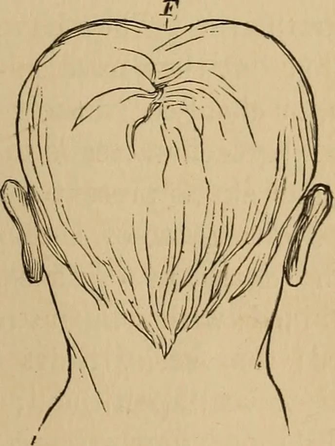 An illustration from The mysteries of the head and the heart explained : including an improved system of phrenology, a new theory of the emotions, and an explanation of the mysteries of mesmerism, trance, mind-reading, and the spirit delusion, 1875, leaf 120