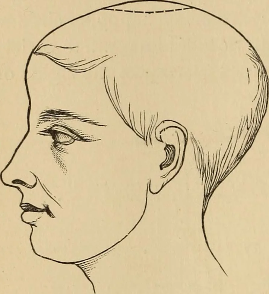 An illustration from The mysteries of the head and the heart explained : including an improved system of phrenology, a new theory of the emotions, and an explanation of the mysteries of mesmerism, trance, mind-reading, and the spirit delusion, 1875, leaf 127