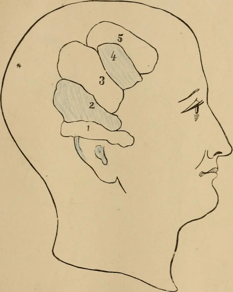 An illustration from The mysteries of the head and the heart explained : including an improved system of phrenology, a new theory of the emotions, and an explanation of the mysteries of mesmerism, trance, mind-reading, and the spirit delusion, 1875, leaf 214