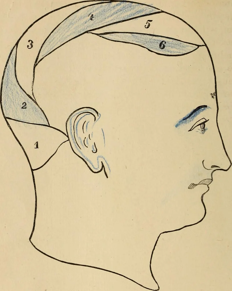 An illustration from The mysteries of the head and the heart explained : including an improved system of phrenology, a new theory of the emotions, and an explanation of the mysteries of mesmerism, trance, mind-reading, and the spirit delusion, 1875, leaf 215