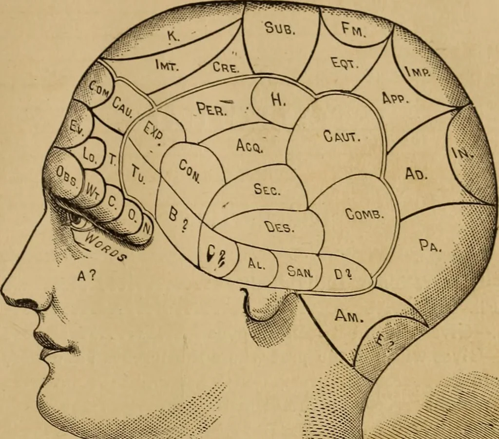 An illustration from The mysteries of the head and the heart explained : including an improved system of phrenology, a new theory of the emotions, and an explanation of the mysteries of mesmerism, trance, mind-reading, and the spirit delusion, 1875, leaf 22