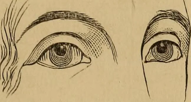 An illustration from The mysteries of the head and the heart explained : including an improved system of phrenology, a new theory of the emotions, and an explanation of the mysteries of mesmerism, trance, mind-reading, and the spirit delusion, 1875, leaf 38