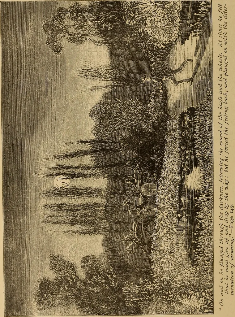 An illustration from The mysteries of the head and the heart explained : including an improved system of phrenology, a new theory of the emotions, and an explanation of the mysteries of mesmerism, trance, mind-reading, and the spirit delusion, 1875, leaf 403