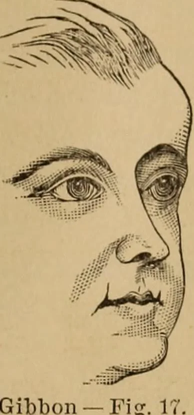 An illustration from The mysteries of the head and the heart explained : including an improved system of phrenology, a new theory of the emotions, and an explanation of the mysteries of mesmerism, trance, mind-reading, and the spirit delusion, 1875, leaf 54