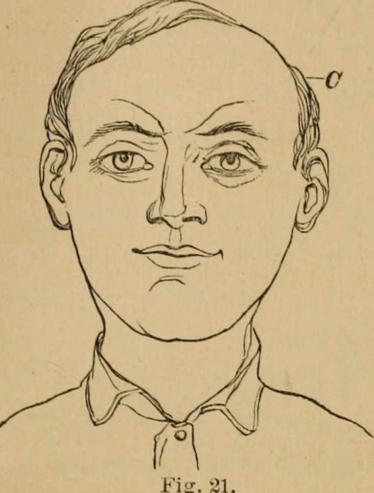 An illustration from The mysteries of the head and the heart explained : including an improved system of phrenology, a new theory of the emotions, and an explanation of the mysteries of mesmerism, trance, mind-reading, and the spirit delusion, 1875, leaf 70