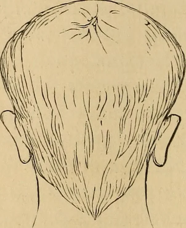 An illustration from The mysteries of the head and the heart explained : including an improved system of phrenology, a new theory of the emotions, and an explanation of the mysteries of mesmerism, trance, mind-reading, and the spirit delusion, 1875, leaf 73