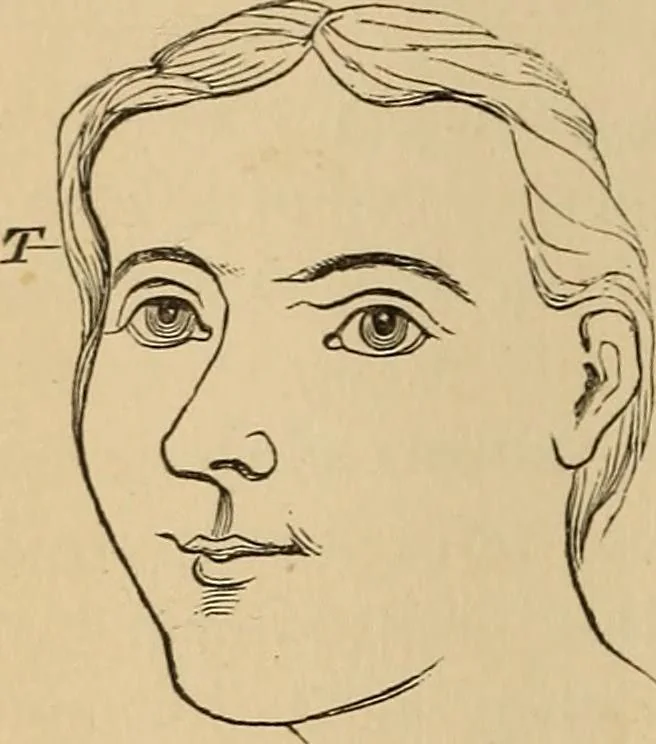 An illustration from The mysteries of the head and the heart explained : including an improved system of phrenology, a new theory of the emotions, and an explanation of the mysteries of mesmerism, trance, mind-reading, and the spirit delusion, 1875, leaf 85