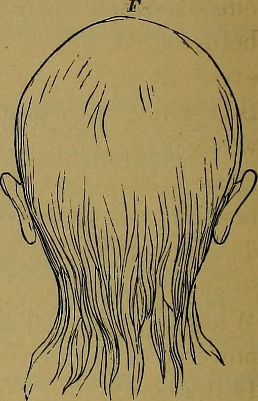 An illustration from The mysteries of the head and the heart explained: including an improved system of phrenology; a new theory of the emotions, and an explanation of the mysteries of mesmerism, trance, mind-reading, and the spirit delusion, 1881, leaf 105