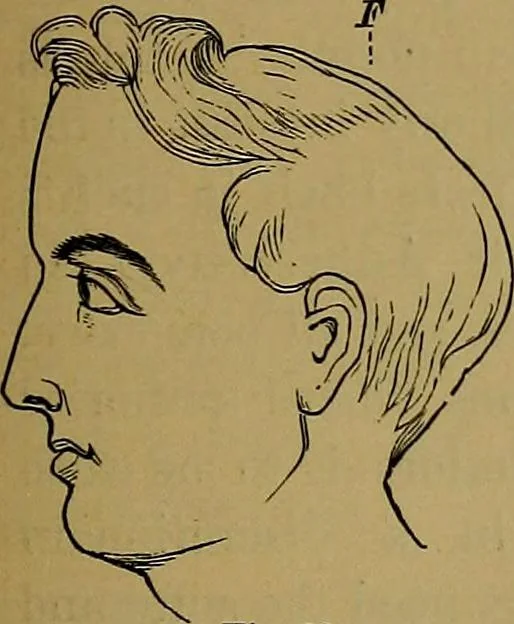 An illustration from The mysteries of the head and the heart explained: including an improved system of phrenology; a new theory of the emotions, and an explanation of the mysteries of mesmerism, trance, mind-reading, and the spirit delusion, 1881, leaf 110