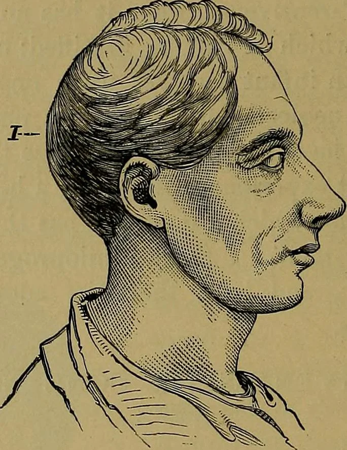An illustration from The mysteries of the head and the heart explained: including an improved system of phrenology; a new theory of the emotions, and an explanation of the mysteries of mesmerism, trance, mind-reading, and the spirit delusion, 1881, leaf 113