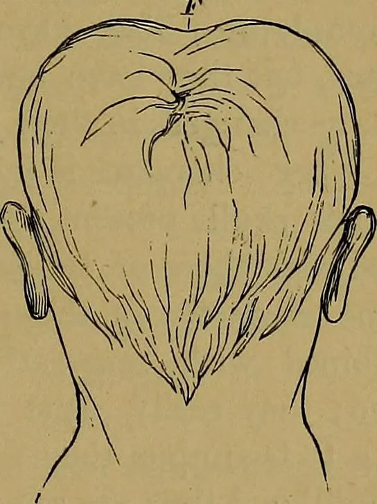 An illustration from The mysteries of the head and the heart explained: including an improved system of phrenology; a new theory of the emotions, and an explanation of the mysteries of mesmerism, trance, mind-reading, and the spirit delusion, 1881, leaf 122