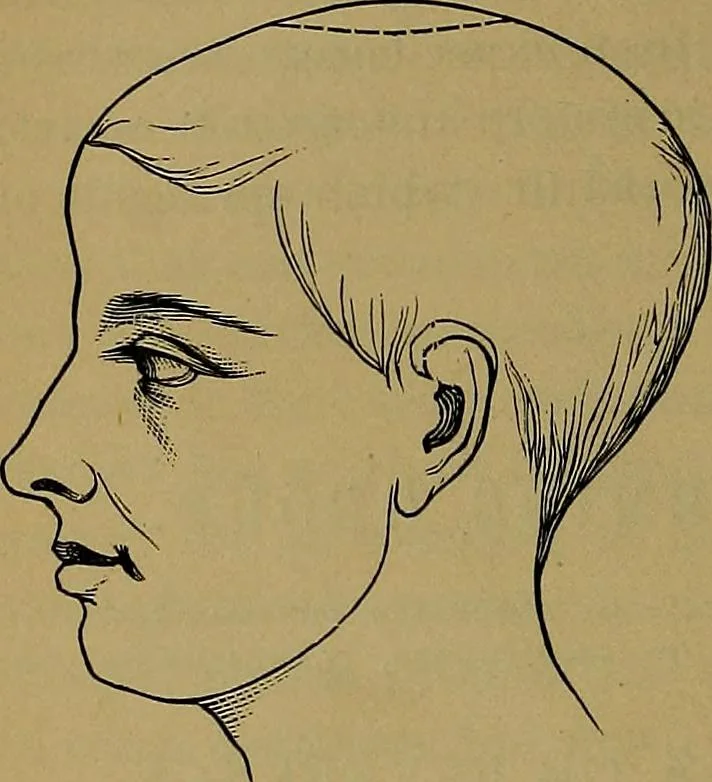 An illustration from The mysteries of the head and the heart explained: including an improved system of phrenology; a new theory of the emotions, and an explanation of the mysteries of mesmerism, trance, mind-reading, and the spirit delusion, 1881, leaf 129