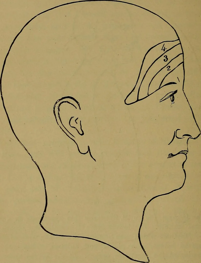 An illustration from The mysteries of the head and the heart explained: including an improved system of phrenology; a new theory of the emotions, and an explanation of the mysteries of mesmerism, trance, mind-reading, and the spirit delusion, 1881, leaf 215
