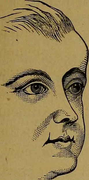 An illustration from The mysteries of the head and the heart explained: including an improved system of phrenology; a new theory of the emotions, and an explanation of the mysteries of mesmerism, trance, mind-reading, and the spirit delusion, 1881, leaf 56