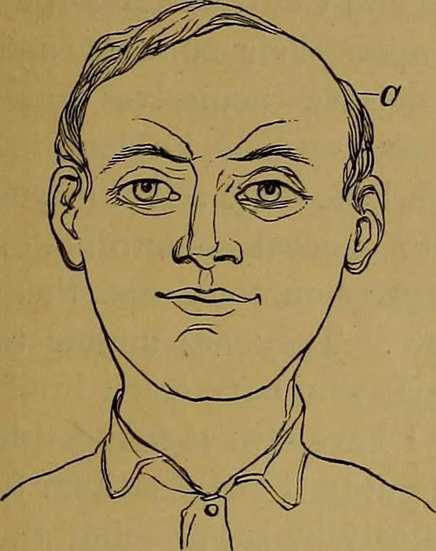 An illustration from The mysteries of the head and the heart explained: including an improved system of phrenology; a new theory of the emotions, and an explanation of the mysteries of mesmerism, trance, mind-reading, and the spirit delusion, 1881, leaf 72