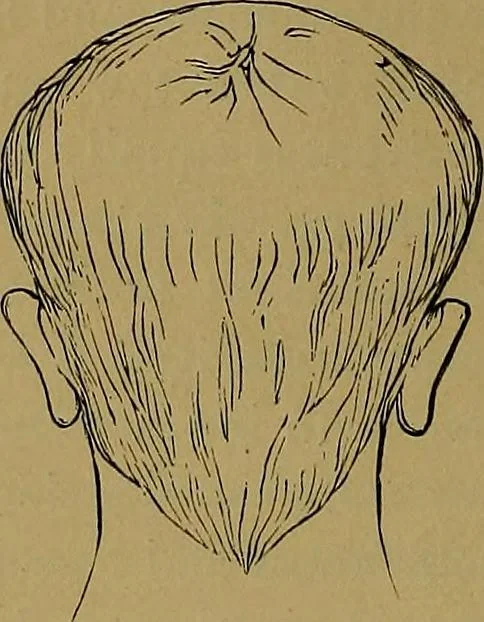 An illustration from The mysteries of the head and the heart explained: including an improved system of phrenology; a new theory of the emotions, and an explanation of the mysteries of mesmerism, trance, mind-reading, and the spirit delusion, 1881, leaf 75