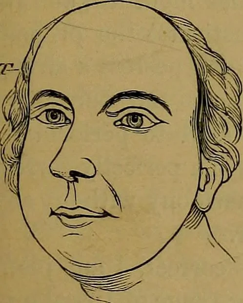An illustration from The mysteries of the head and the heart explained: including an improved system of phrenology; a new theory of the emotions, and an explanation of the mysteries of mesmerism, trance, mind-reading, and the spirit delusion, 1881, leaf 84