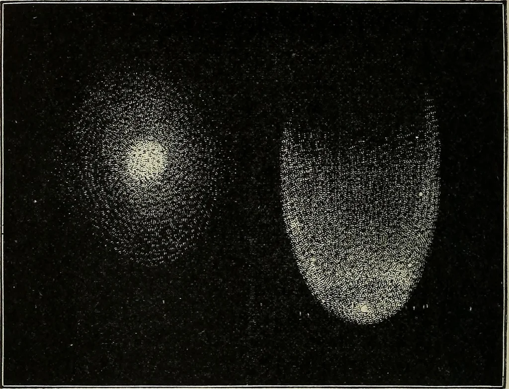 An illustration from Mysteries of time and space, 1883, leaf 173