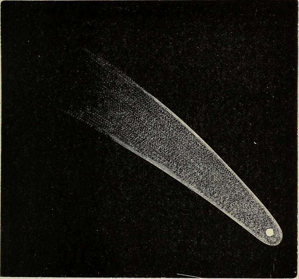 An illustration from Mysteries of time and space, 1883, leaf 186